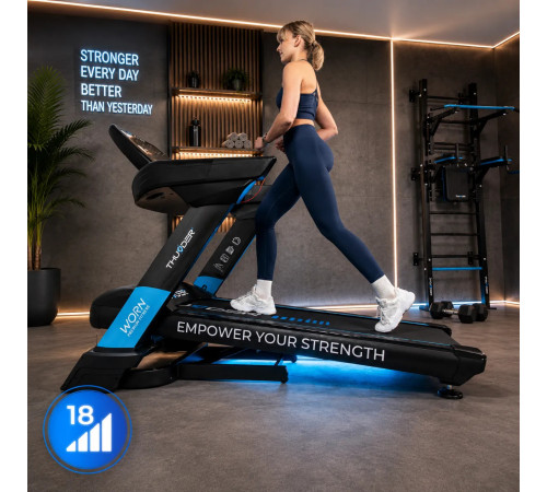 ELECTRIC TREADMILL WORN