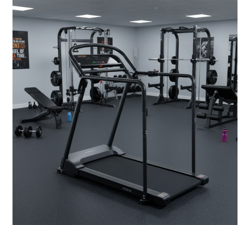 Бігова доріжка електрична з поручнями inSPORTline Avolin