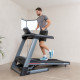 Бігова доріжка електрична FLOW FITNESS RUNNER DTM2500