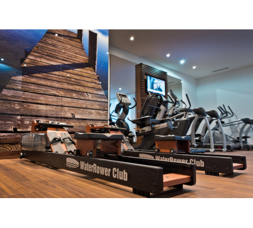 Веслувальний тренажер WaterRower Club Performance Rowing Machine SR Ash
