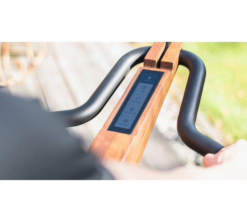 Велотренажер NOHRD V2 Natural Ash