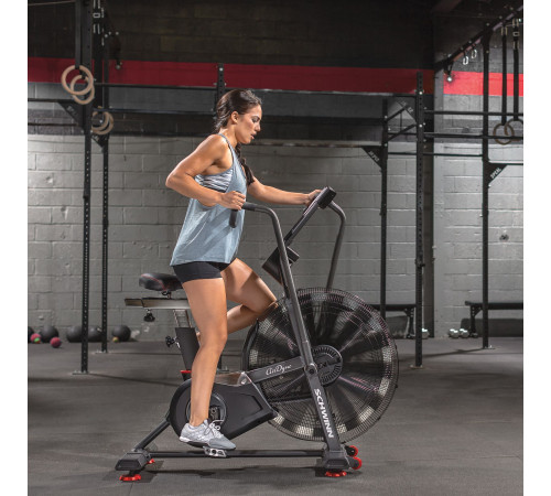 SCHWINN ROWER POWIETRZNY AIRDYNE AD8