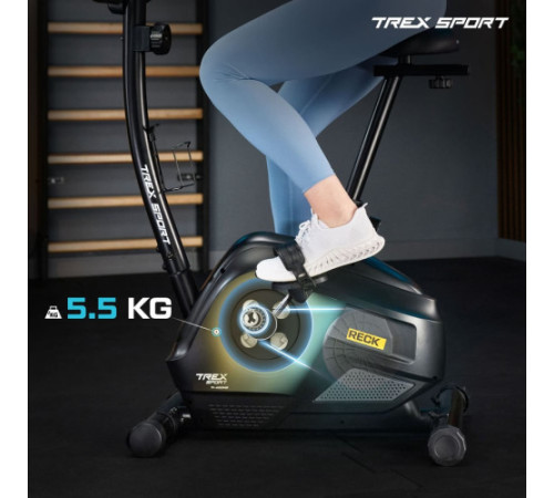 Велотренажер магнітний Trex Sport TX-400MB RECK сірий
