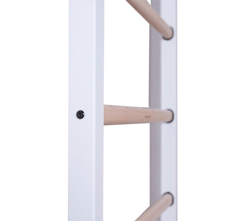 Драбина гімнастична BenchK (830191) Драбина гімнастична BenchK (830191)