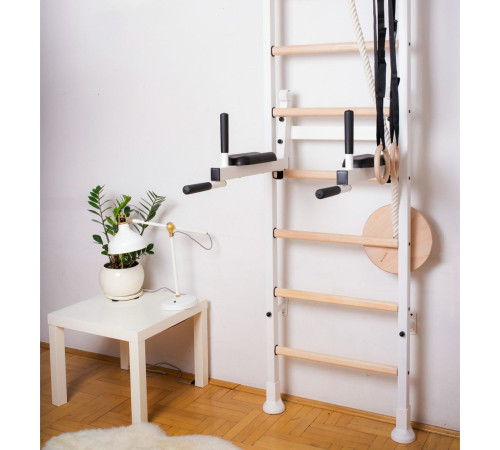 Драбина гімнастична BenchK (830191) Драбина гімнастична BenchK (830191)