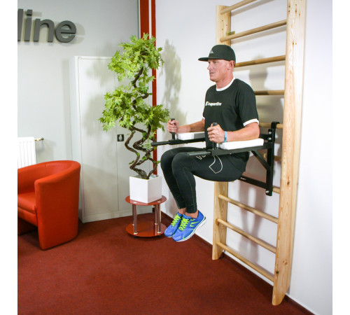 Шведська стінка inSPORTline Shapemar 220 x 90 см