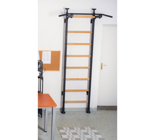 Багатофункціональна драбина BenchK (830030) Багатофункціональна драбина BenchK (830030)