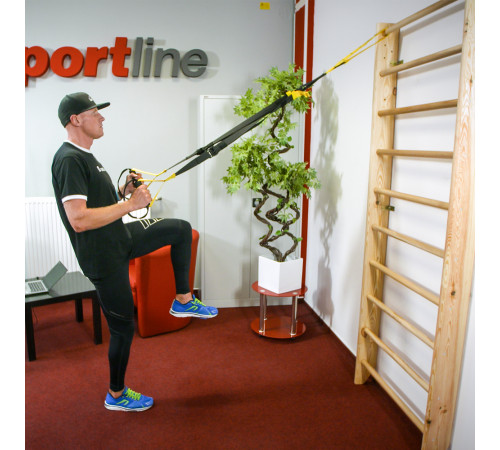Шведська стінка inSPORTline Directline 245 x 90 см