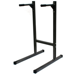 Поручні для вправ MASTER Dip Stand