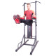 Поручень багатофункціональний для підтягування inSPORTline Power Tower X150