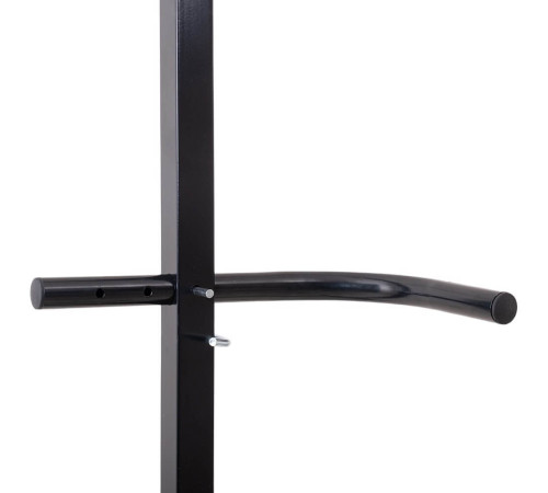 Турнік стаціонарний inSPORTline Power Tower ONX PT200