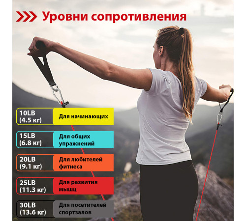 Набір еспандерів для фітнесу WCG T15. 5 джгутів + ЧОХОЛ Набір еспандерів для фітнесу WCG T15. 5 джгутів + ЧОХОЛ