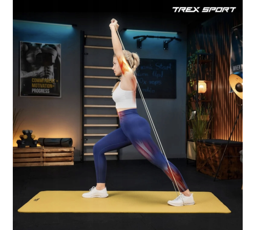 Набір резинок для фітнесу Trex Sport TX-004PB 4в1 2-41кг Набір резинок для фітнесу Trex Sport TX-004PB 4в1 2-41кг