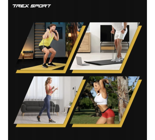 Набір резинок для фітнесу Trex Sport TX-004PB 4в1 2-41кг Набір резинок для фітнесу Trex Sport TX-004PB 4в1 2-41кг