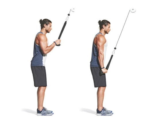 Канат для тяги York Fitness подвійний хват на трицепс з обертовим підвісом, хром