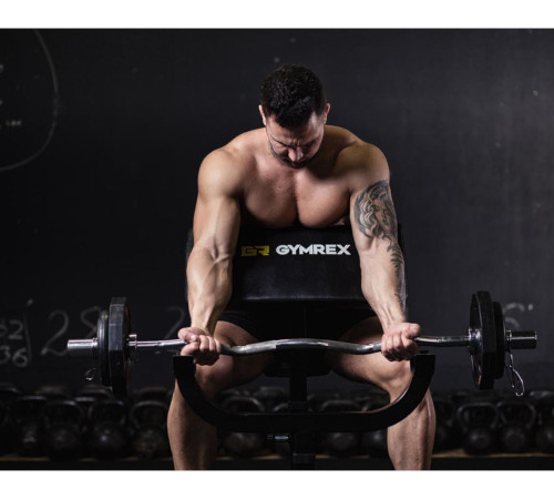 Gymrex Bench Тренажерна лава для вправ на біцепс до 120 кг Gymrex Bench Тренажерна лава для вправ на біцепс до 120 кг