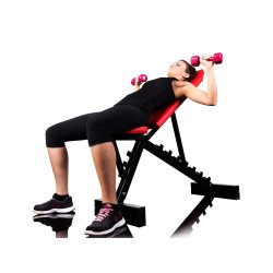 Лавка для жиму регульована WCG Pro-10