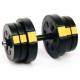 Лава Besport WB-002 з гантелями PowerPro 2 х 21 кг