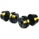 Лава York Fitness Aspire 280 FID з гантелями Besport PowerPro 2 х 21 кг