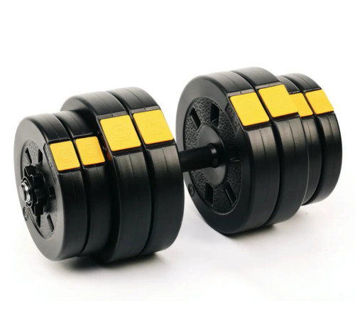 Лава York Fitness Aspire 280 FID з гантелями Besport PowerPro 2 х 31 кг