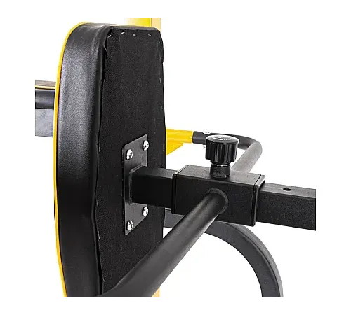 Багатофункціональна стаціонарна стійка для підтягувань inSPORTline Power Tower PT250 Чорна