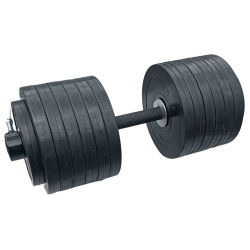 Гантель розбірна олімпійська RN-Sport 72 кг