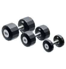 Гантель Eleiko Evo з обертовою ручкою, 58 кг