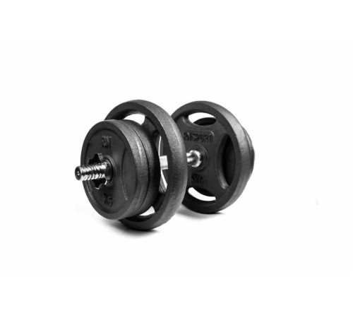 Гантелі розбірні RN-Sport RN_QTR21х2 2 х 21 кг