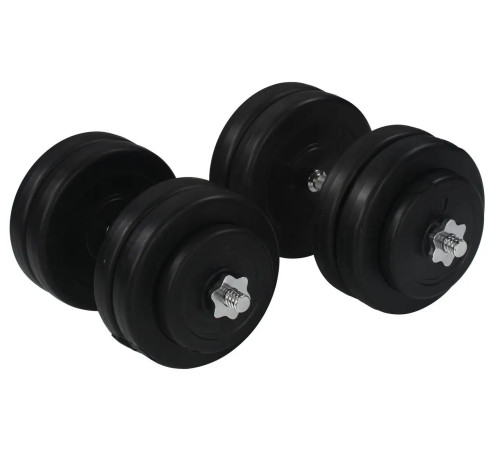 Гантелі розбірні з хромованим грифом WCG 2 х 25 кг