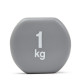 Гантель REEBOK RAWT-16151 1 кг