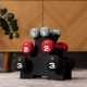 Стійка з гантелями Hop-Sport HS-V122DRS 12 кг, чорна