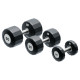Гантель Eleiko Evo з обертовою ручкою, 10 кг