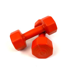 Гантелі композитні NEO-SPORT 2 х 1 кг