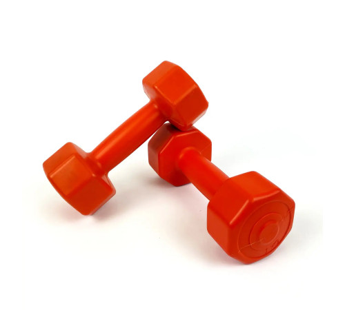 Гантелі композитні NEO-SPORT 2 х 1 кг