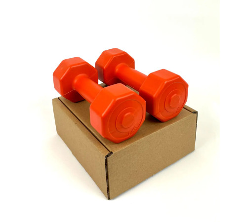 Гантелі композитні NEO-SPORT 2 х 1 кг