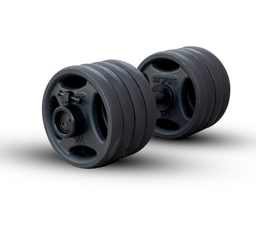 Гантель розбірна чавунна RN-Sport 46 кг