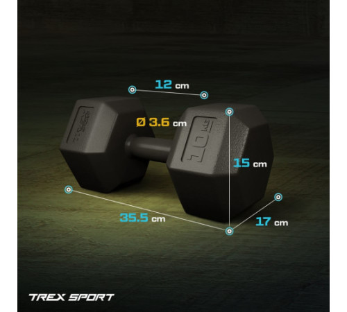 Гантелі шестигранні TREX Sport TX-008CD 2 x 10 кг