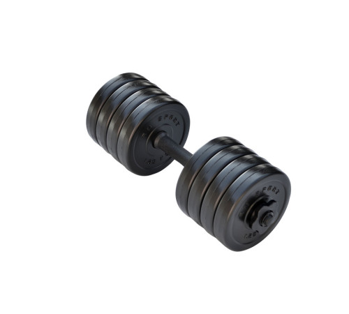 Гантель розбірна RN-Sport Long 10 кг Гантель розбірна RN-Sport Long 10 кг