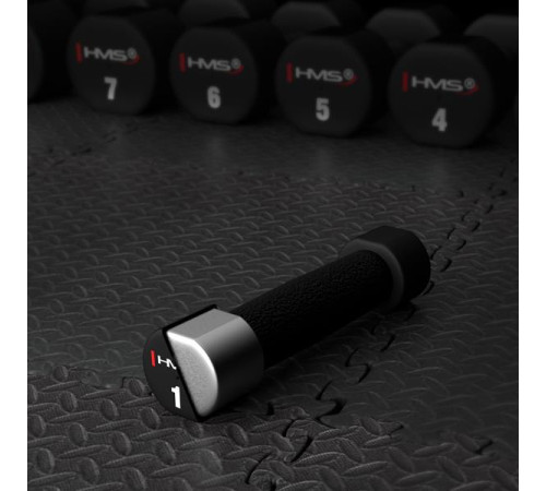 Гантелі HMS HPT01 2 х 1 кг