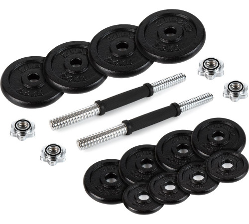 Гантелі розбірні у кейсі ZIPRO Cast Iron, 2 x 10 кг