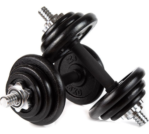 Гантелі розбірні у кейсі ZIPRO Cast Iron, 2 x 10 кг