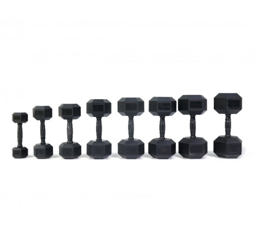 Гантель Zipro Hex прогумована 1 х 2,5 кг Гантель Zipro Hex прогумована 1 х 2,5 кг