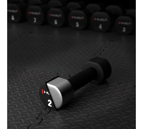 Гантелі HMS HPT02 2 х 2 кг