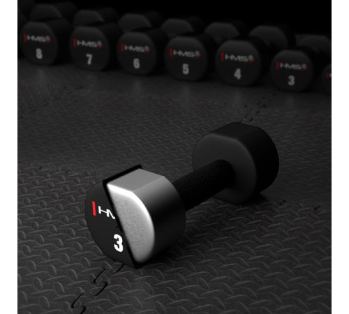 Гантелі HMS HPT03 2 х 3 кг
