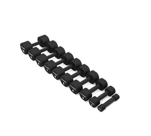 Гантелі HMS HPT04 2 х 4 кг