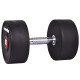 Гантель сталева inSPORTline Profi, 30 кг