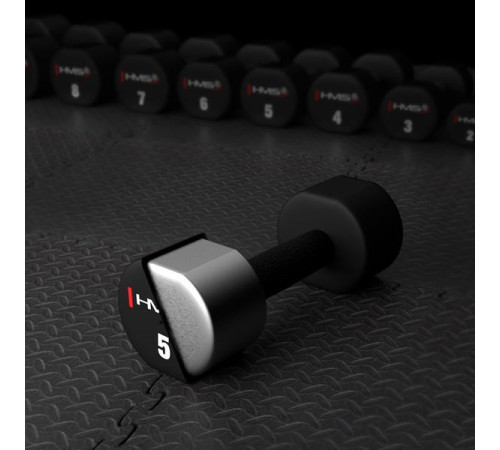 Гантелі HMS HPT05 2 х 5 кг
