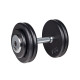 Гантель inSPORTline ProfiST 25 кг