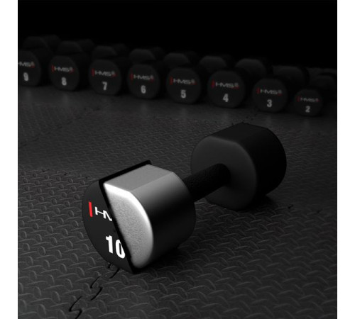 Гантелі HMS HPT10 2 х 10 кг