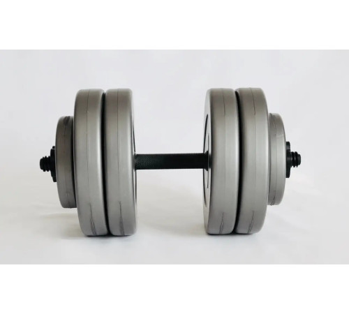 Гантелі розбірні WCG 2 х 13 кг сірі
